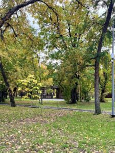 В поход за впечатлениями как мы отметили День Туризма в Первомайском парке!