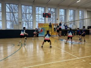 волейбол