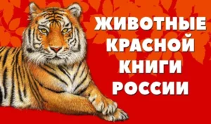 Красная книга