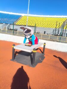 Осенний Движ