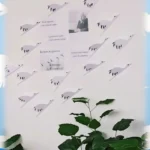 Белые журавли памяти